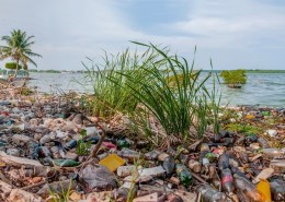 geological epoch - human impact on Earth