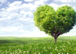 low GWP refrigerants