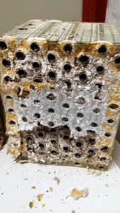 blygold-similar-coating