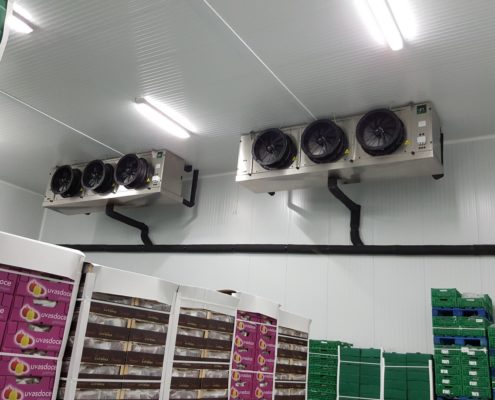 UVAS DOCE – Refrigeration and conservation of grape UVAS DOCE – Refrigeration and conservation of grape