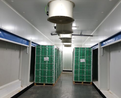 UVAS DOCE – Refrigeration and conservation of grape UVAS DOCE – Refrigeration and conservation of grape