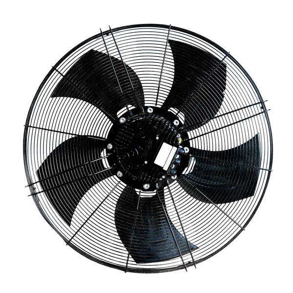 fan