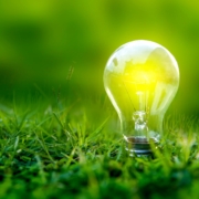 Lightbulb in the grass symbol of sustainability