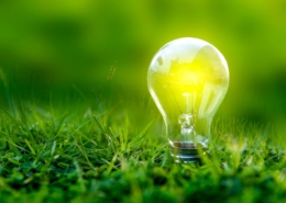 Lightbulb in the grass symbol of sustainability